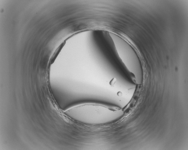 X0000052650956200507292327