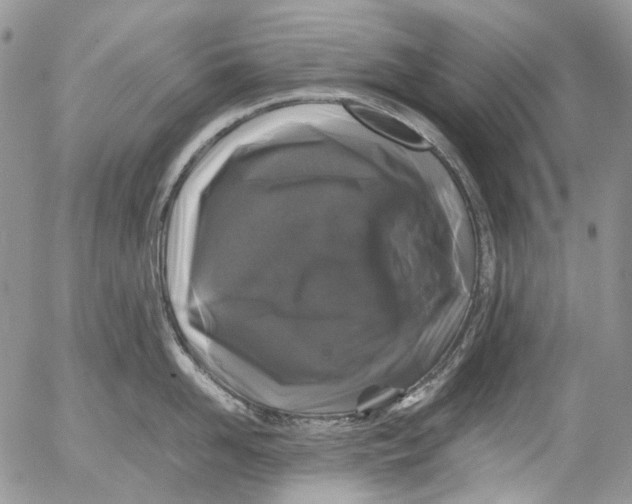 X0000052650958200507292327