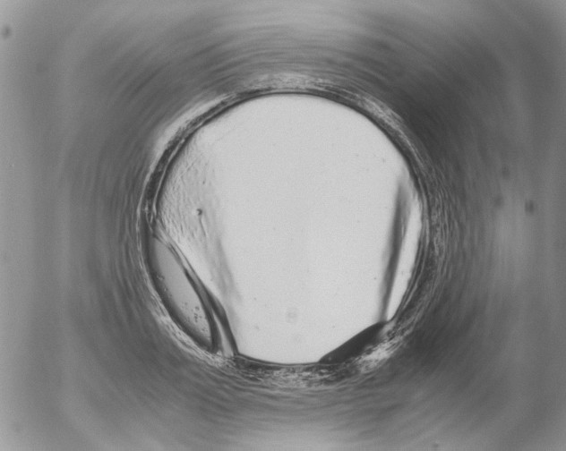 X0000052650987200507292326