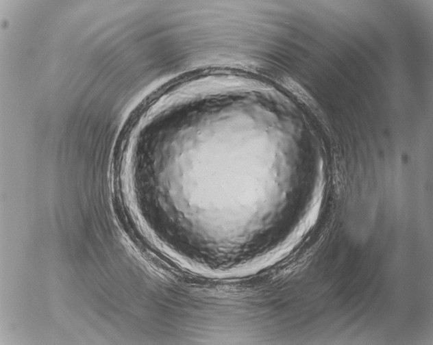 X0000052651028200507292325