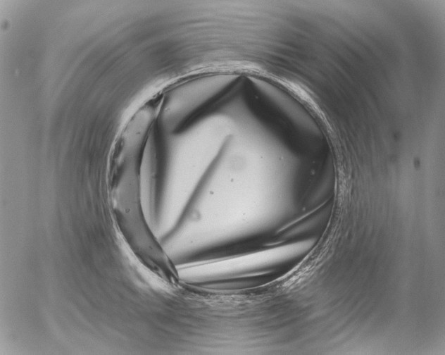 X0000052651046200507292326