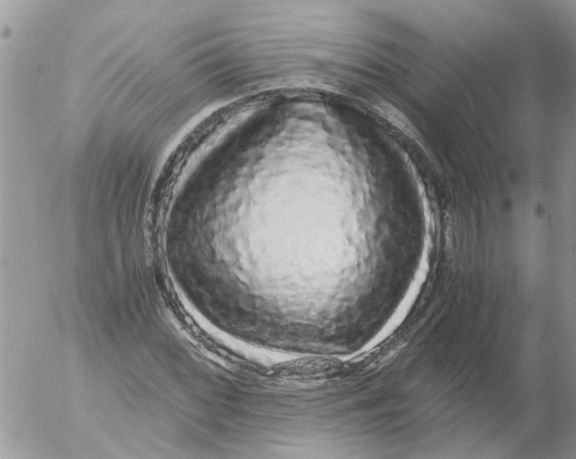 X0000052651068200507292325