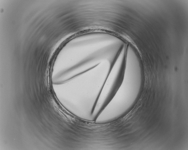 X0000052651076200507292325