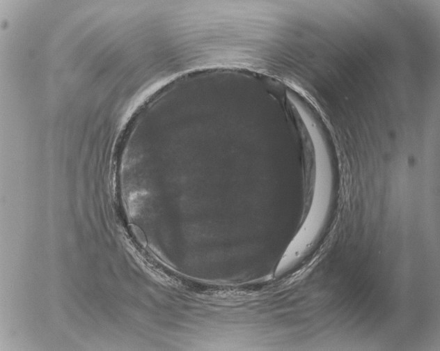 X0000052651077200507292325