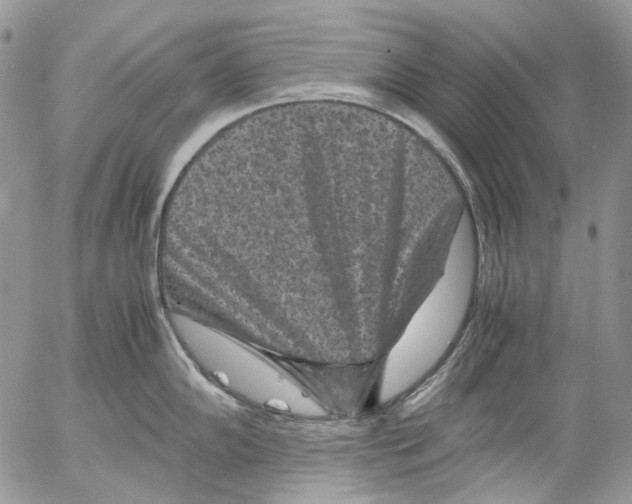 X0000052651102200507292324