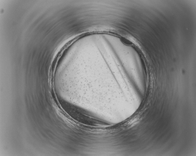 X0000052651124200507292324