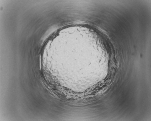 X0000052651171200507292323