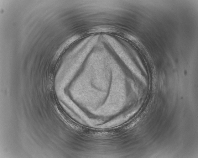 X0000052651233200507292322