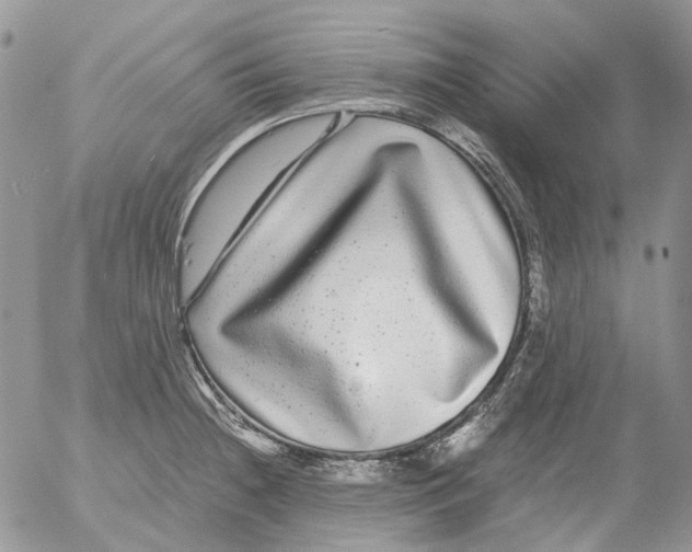 X0000052651236200507292322