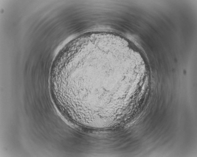 X0000052651237200507292323