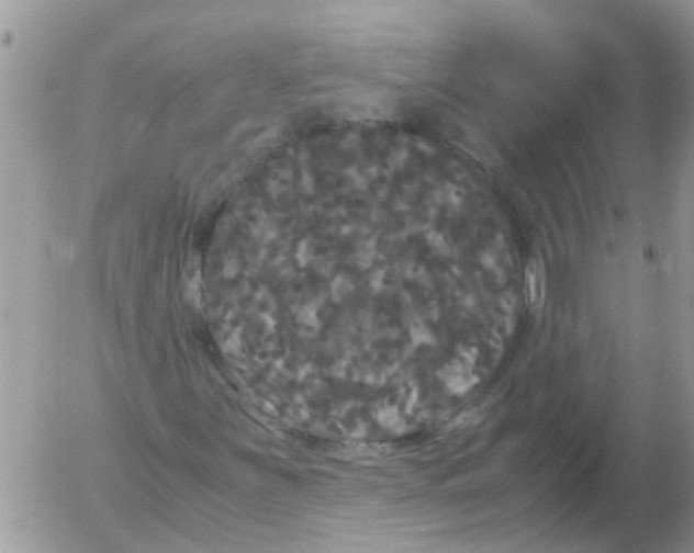 X0000052651251200507292322