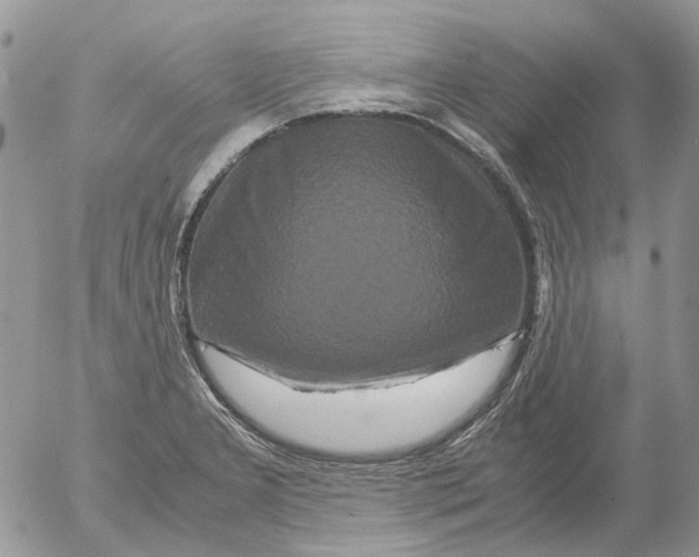 X0000052651277200507292321