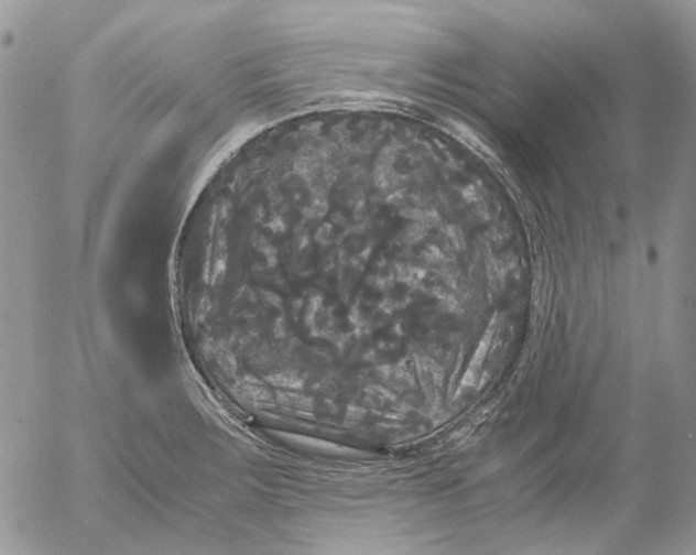 X0000052651283200507292321