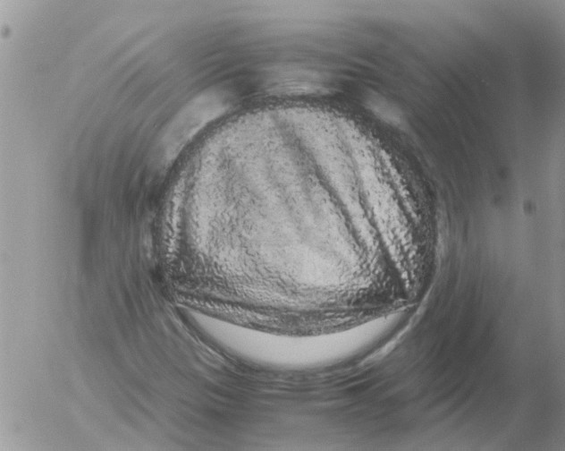 X0000052651305200507292320