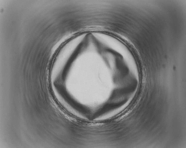 X0000052651325200507292321