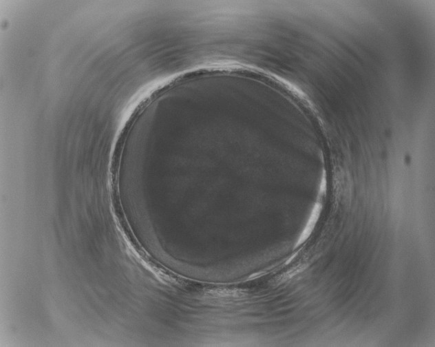 X0000052651327200507292321