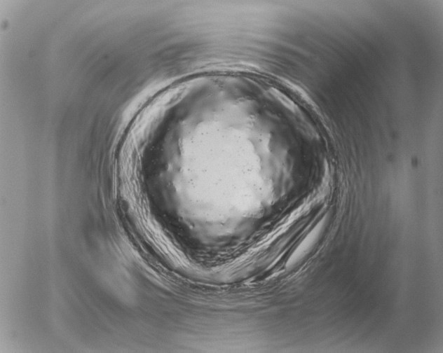 X0000052651371200507292320