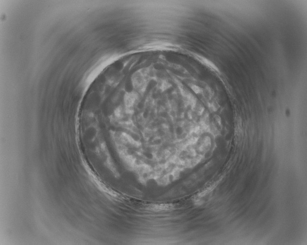 X0000052651423200507292319