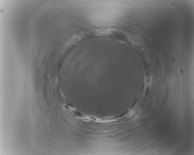 X0000052651441200507292319