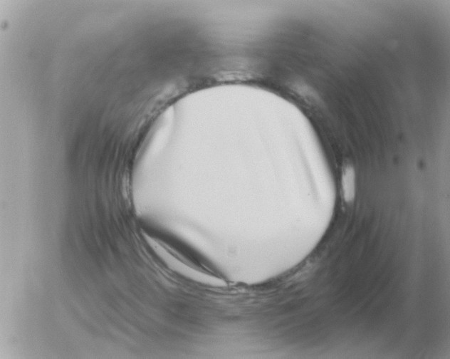 X0000052651444200507292319