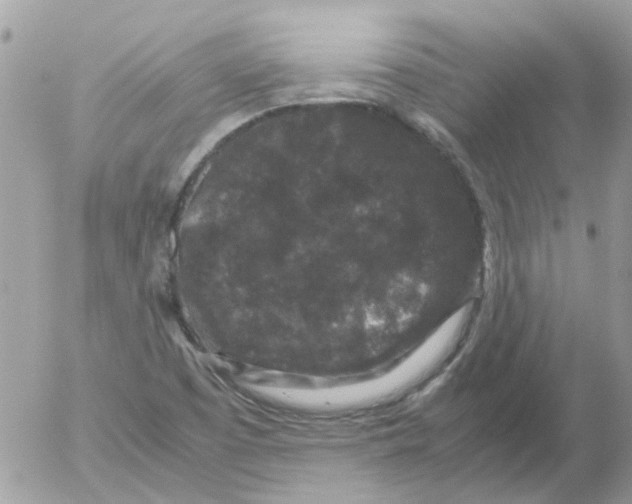 X0000052651457200507292318