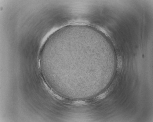 X0000052651462200507292318