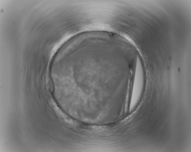 X0000052651469200507292318