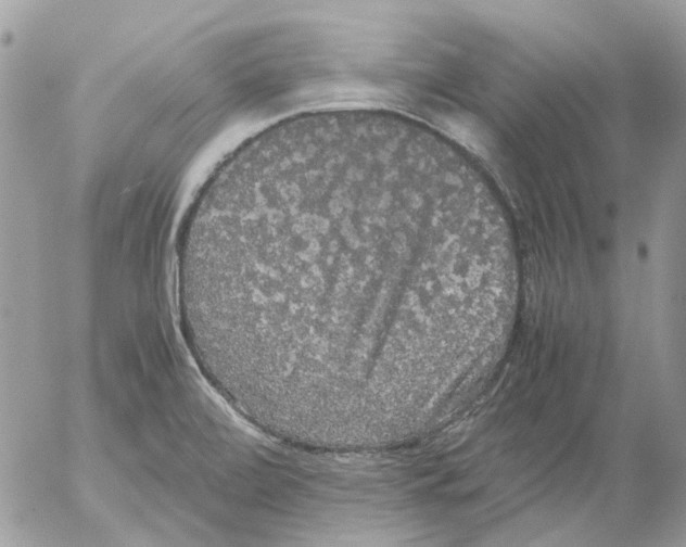 X0000052651472200507292318