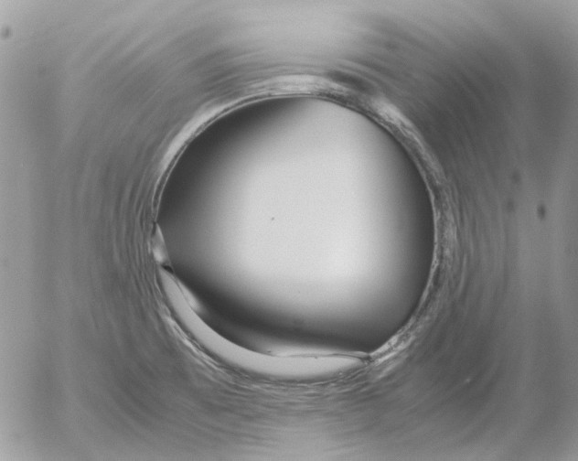 X0000052651473200507292318