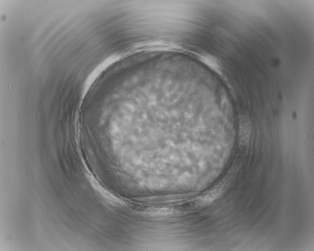 X0000052651474200507292318