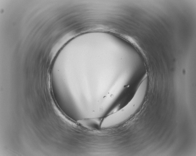 X0000052651476200507292318