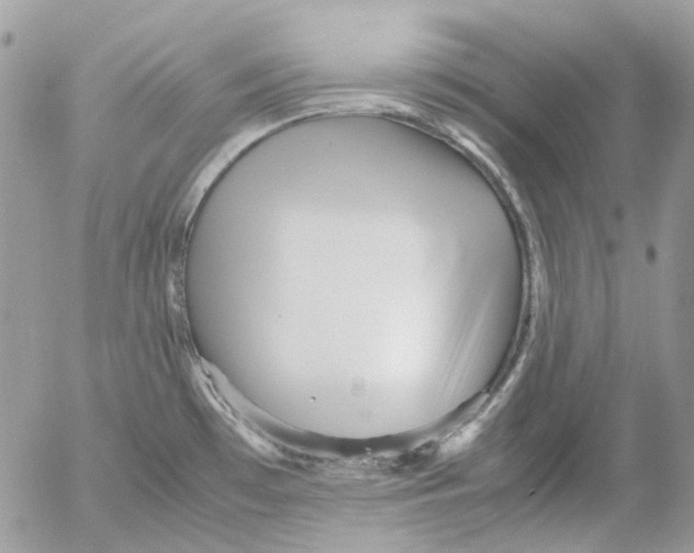 X0000052651481200507292318