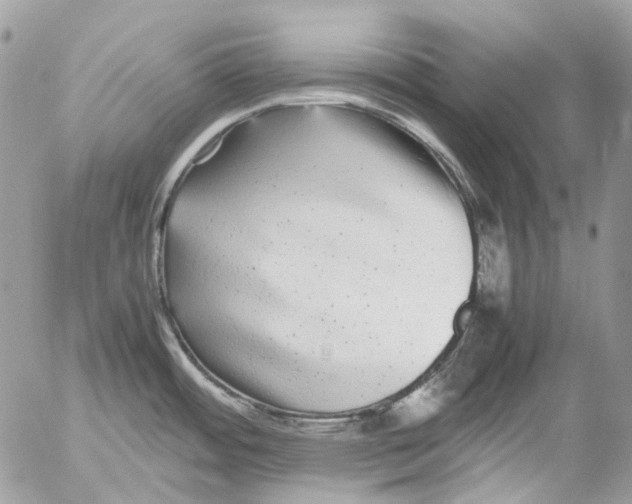 X0000052651484200507292318