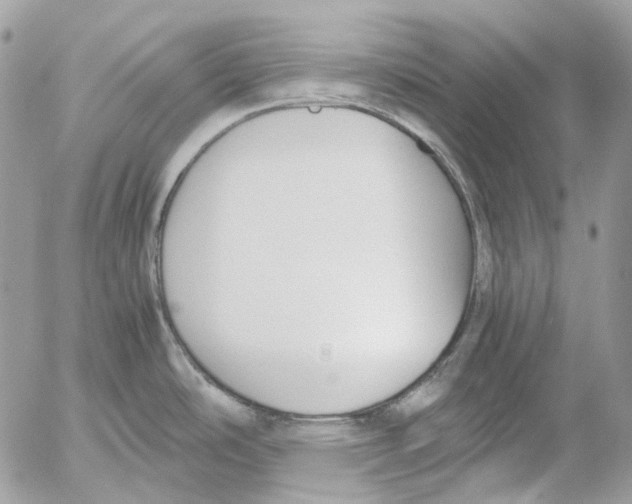 X0000052651486200507292318