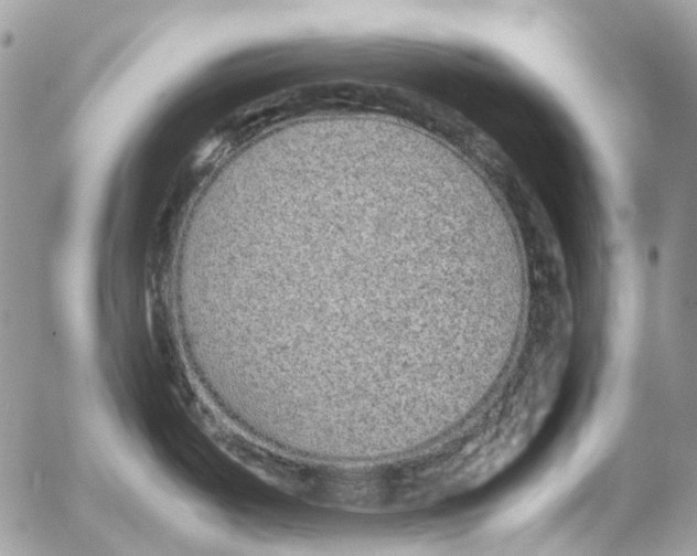 X0000052651487200507292318