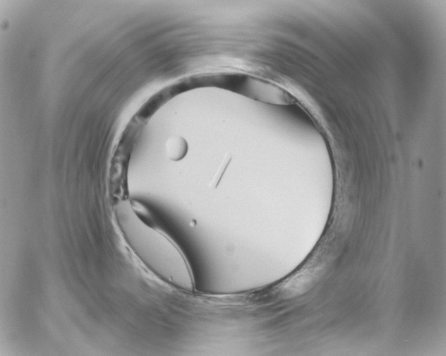 X0000052651488200507292318