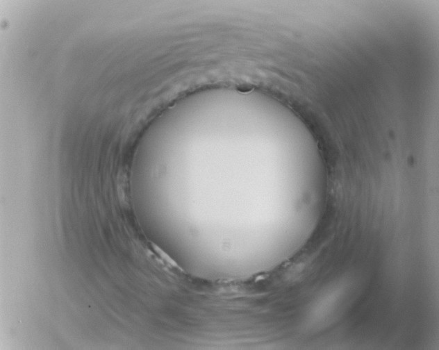 X0000052651490200507292317