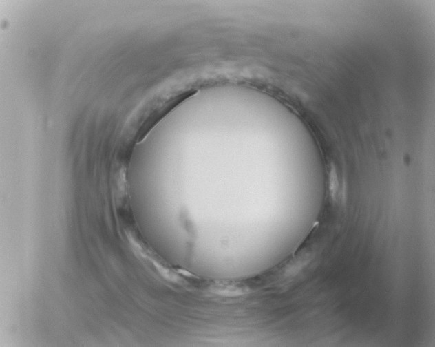 X0000052651492200507292317