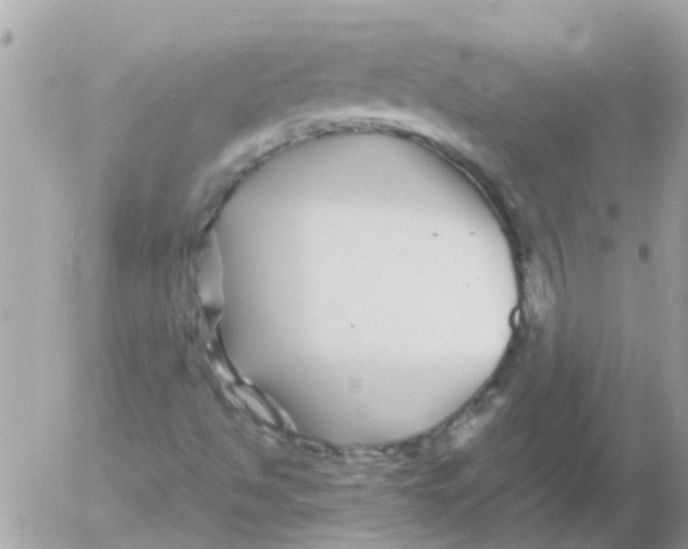 X0000052651494200507292317