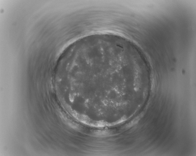 X0000052651497200507292317