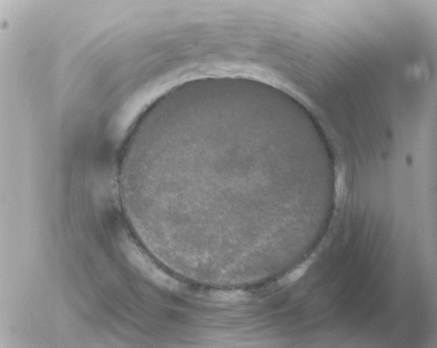 X0000052651498200507292317