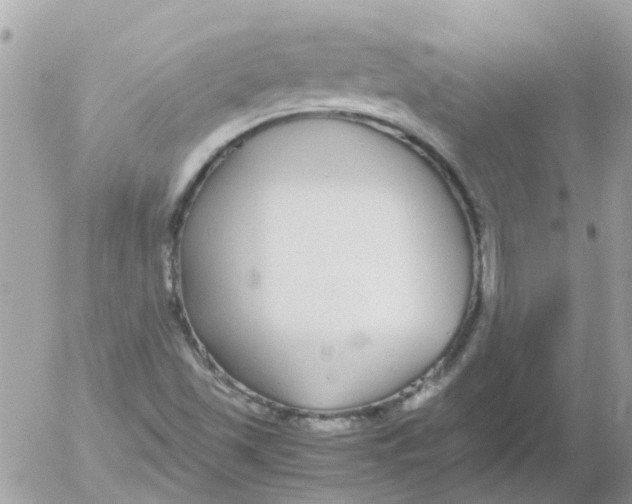 X0000052651501200507292317