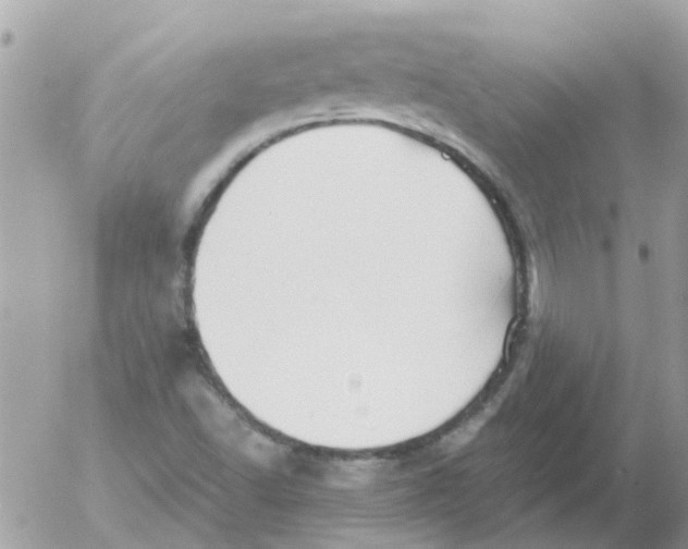 X0000052651502200507292317