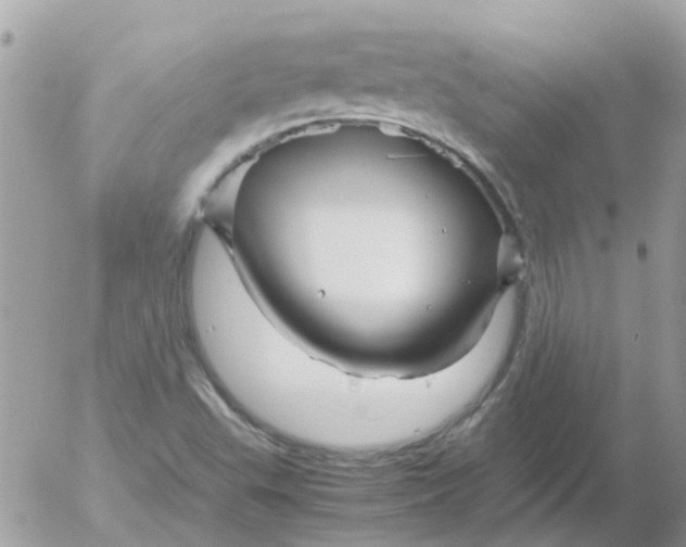 X0000052651503200507292317