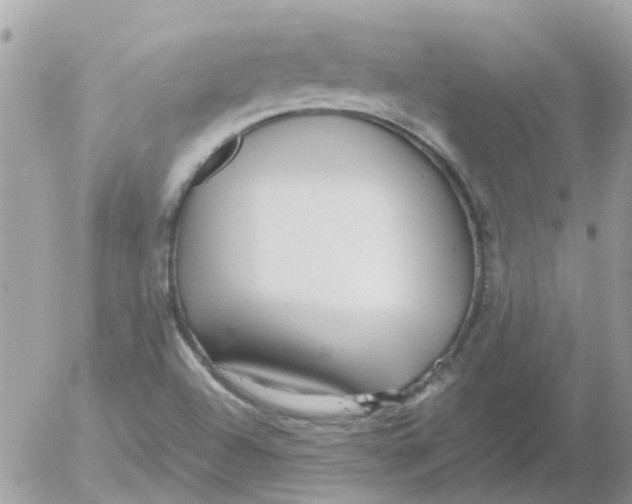 X0000052651504200507292317