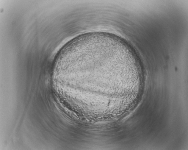 X0000052651505200507292317