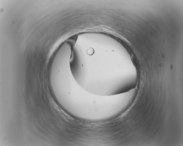 X0000052651506200507292317