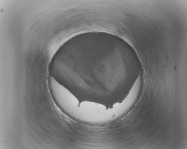 X0000052651508200507292318