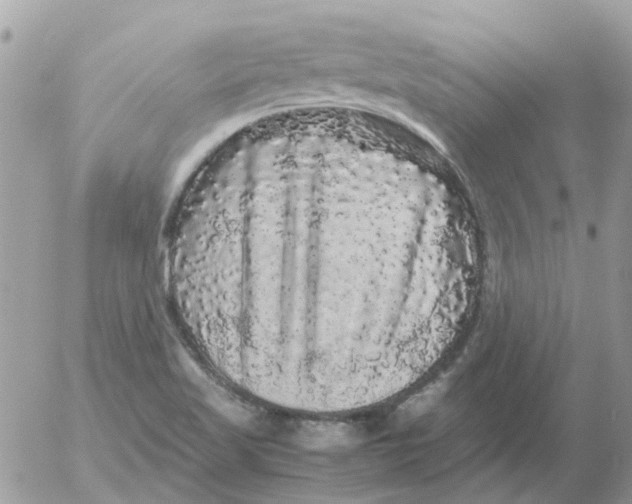 X0000052651509200507292318