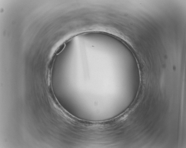 X0000052651510200507292318